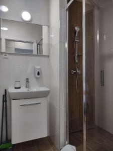 Koupelna v ubytování Apartman Kyjev 2