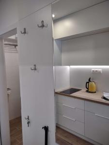 Kuchyň nebo kuchyňský kout v ubytování Apartman Kyjev 2 + 9 fotografií