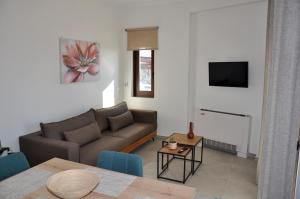 TV a/nebo společenská místnost v ubytování Alkioni's Nest Apartments