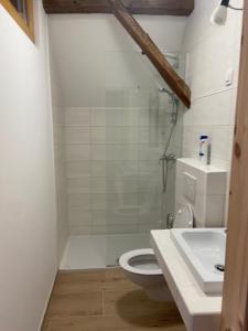 a bathroom with a toilet and a sink at Pr Krač Countryside Hideaway in Dol pri Ljubljani