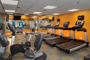 - une salle de sport avec de nombreux tapis roulants et elliptiques dans l'établissement Marriott St. Louis Airport, à Edmundson