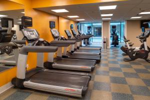 a row of tread machines in a gym at Marriott St. Louis Airport in Edmundson