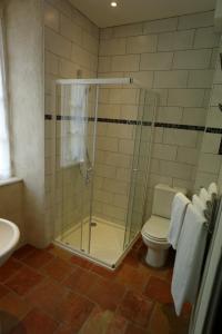 uma casa de banho com um chuveiro, um WC e um lavatório. em Hôtel-Restaurant Le Parisien em Les Vignes