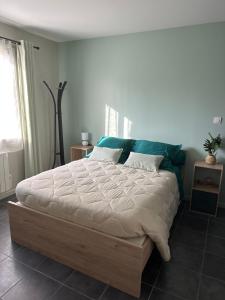 1 dormitorio con 1 cama grande en una habitación en B&B Chez Jaika Chambre d hotes en Belleville-en-Beaujolais