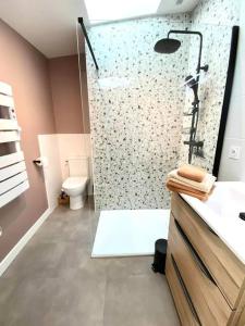 Un baño con ducha, inodoro y lavabo. en Calme - Centre - WiFi - Clim - Verdon 300m - Parking, en Vinon-sur-Verdon 25 fotos más