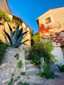 una escalera con una planta al lado de un edificio en Calme - Centre - WiFi - Clim - Verdon 300m - Parking, en Vinon-sur-Verdon