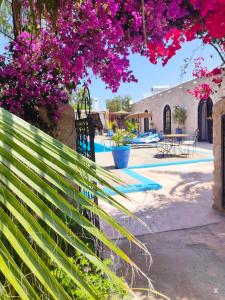 a fence in front of a pool with pink flowers at Riad Eucalyptus by Caravanserail in Essaouira