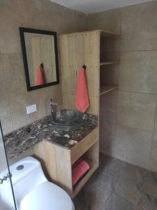 a bathroom with a sink and a toilet at mountain cabin for bird watching in Sabaneta