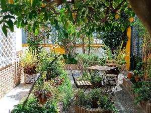 En trädgård utanför Casa Limonero con parking gratis junto a centro histórico