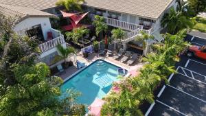 フォート・ローダーデールにあるThe Big Coconut Guesthouse - Gay Men's Resortのプールとヤシの木があるホテルの空中ビュー