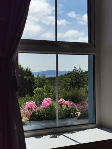 een raam met roze bloemen in een vensterbank bij New Listing - Ladybird Cottage - Donegal - Wild Atlantic Way in Donegal