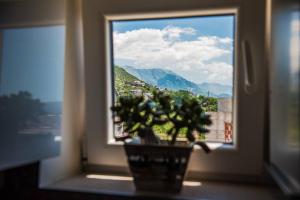 Pokrajina v okolici apartmaja