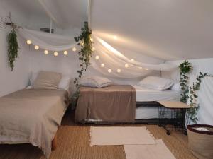 2 Betten in einem Zimmer mit Licht und Pflanzen in der Unterkunft Port Banyuls casa al canal in Empuriabrava