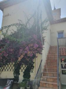 un ramo de flores al lado de un edificio en Haut de maison 5 min de la plage, en Vallauris
