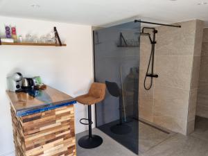 a bathroom with a shower with a counter and a stool at La vie Est Belle Vlissingen in Vlissingen