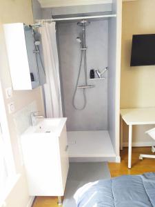 a bathroom with a shower with a sink and a bed at Couleur Framboise in Longwy