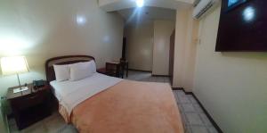 Postel nebo postele na pokoji v ubytování Hotel Cisne II