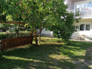 un banco de parque bajo un manzano en un patio en EMINA, en Mostar