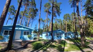 a row of blue houses in the woods at DOMKI ZEUS in Stegna