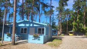 a blue tiny house in front of some trees at DOMKI ZEUS in Stegna