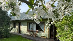 a green house with a table and chairs on a porch at Cosy guesthouse with sauna and outdoor kitchen in Kuressaare