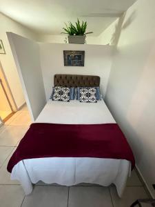 een bed in een kamer met een plant aan de muur bij Apt Central Caraguá in Caraguatatuba +39 foto's