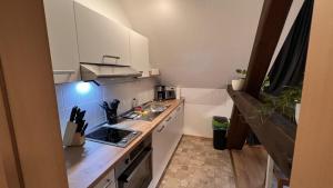 a small kitchen with a sink and a stove at Ferienwohnung König Georg in Wurzen +3 photos