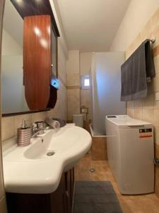 La salle de bains est pourvue d'un lavabo et d'un petit réfrigérateur. dans l'établissement CL μπροστά στην λιμνη, à Kastoria