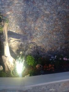 Zahrada ubytování Domina Villas