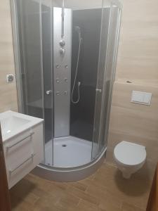 a bathroom with a shower and a toilet at Apartament Pod Dębem in Żarnowska