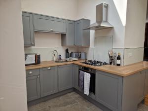 a kitchen with gray cabinets and a stove top oven at The Old Pig Sty in Llanellen