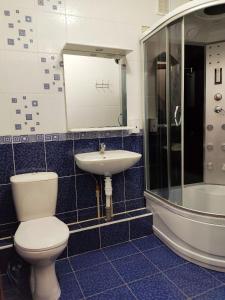 クロプィウヌィーツィクィイにあるGuest House Orchidのバスルーム(トイレ、洗面台、バスタブ付)