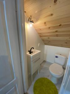 a bathroom with a toilet and a sink at La Tarani in Vatra Dornei +29 photos
