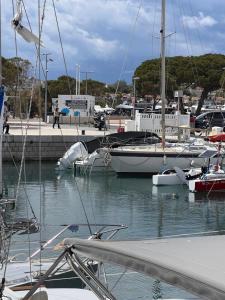 un gruppo di imbarcazioni è ormeggiato in un porto turistico di Voyage du rêve Antibes a Antibes