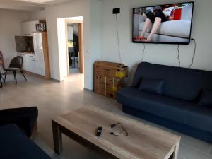 TV a/nebo společenská místnost v ubytování Apartment Karlo
