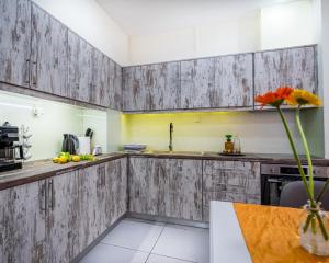 Kuchyň nebo kuchyňský kout v ubytování Filoxenos Apartment