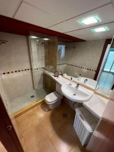 een badkamer met een wastafel, een douche en een toilet bij El puerto in Puerto de Mazarrón