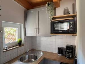 uma cozinha com um lavatório e um micro-ondas em Cozy Apartment in Klutz Germany with a Lovely Garden em Klütz