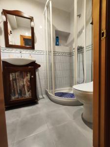 a bathroom with a shower and a sink and a toilet at Apartamento de 2 habitaciones a un paso de Begoña in Gijón +6 photos