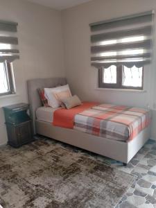 ein Schlafzimmer mit einem Bett und zwei Fenstern in der Unterkunft Tyana Garden Cappadocia in Bor