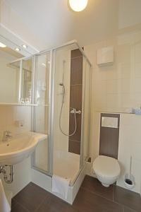 a bathroom with a shower and a toilet and a sink at Hotel-Gasthof Rotes Roß in Heroldsberg