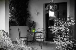 Vrt pred nastanitvijo B&B Il Vigneto