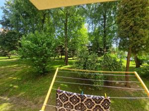 a tennis net in a park with trees at Leśny Kącik tuż przy centrum miasta in Krosno