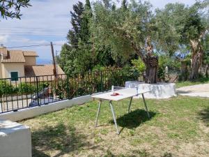 Ogród w obiekcie maria corfu apartments