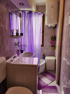 ピテシュティにあるApartament ULTRACENTRALのバスルーム(シンク、トイレ、紫色のカーテン付)