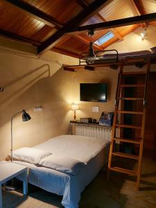 a bedroom with a bunk bed with a ladder at Casetón do Forno. in Lourenzá