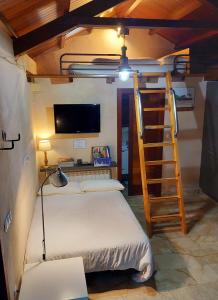 a bedroom with a bunk bed and a ladder at Casetón do Forno. in Lourenzá
