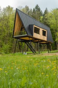 ein Haus mit einem schwarzen Dach auf einem Grasfeld in der Unterkunft Baumhausapartment in Breuberg