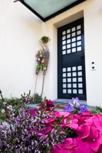Vrt pred nastanitvijo B&B Il Vigneto