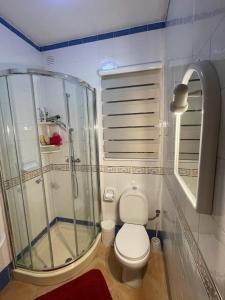een kleine badkamer met een douche en een toilet bij The Halcyon in Mellieħa